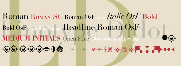 Didot: stylish, decorated serif font for web. 