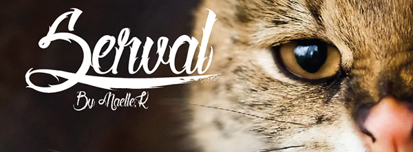 Serval Free Font by Mael.K in 23 New Free Fonts and Typefaces