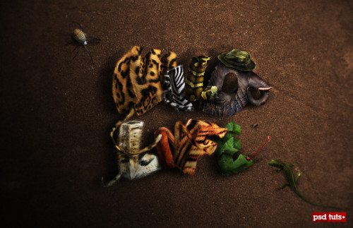 Wild Life 500x323 30 Insanely Creative Typography Designs with Jaw Dropping Effect