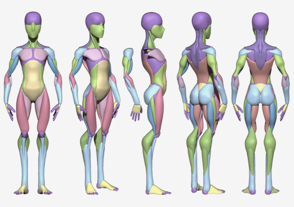 5000字干货！3D卡通虚拟数字人角色设计完整流程（上）