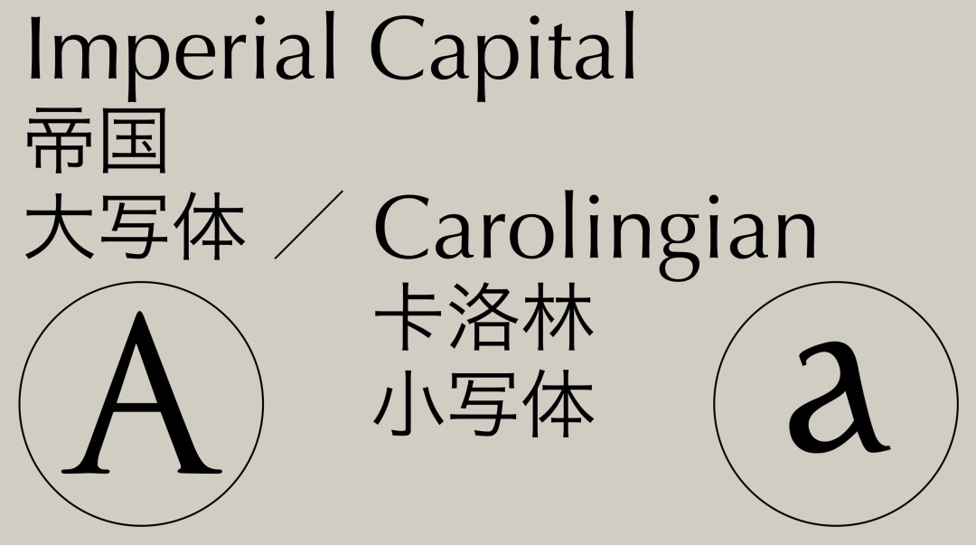 7000字干货！西文字体怎么看、怎么用（上）