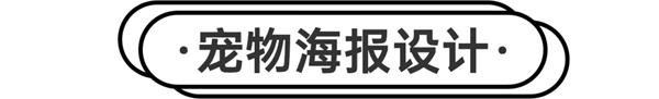 学完即用的海报设计实操系列：宠物行业篇