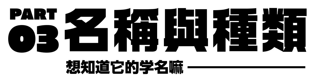 万字长文！帮你完整了解现代美术字的前世今生