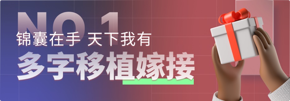 字体设计保姆级全方位教学！万字干货