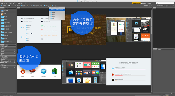 超方便神器Bridge！设计师的终极图像管理术