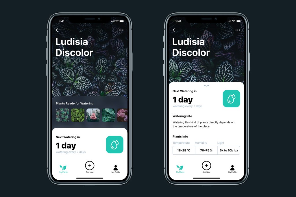 设计实战！这款帮你科学养护绿植的APP是怎样设计出来的