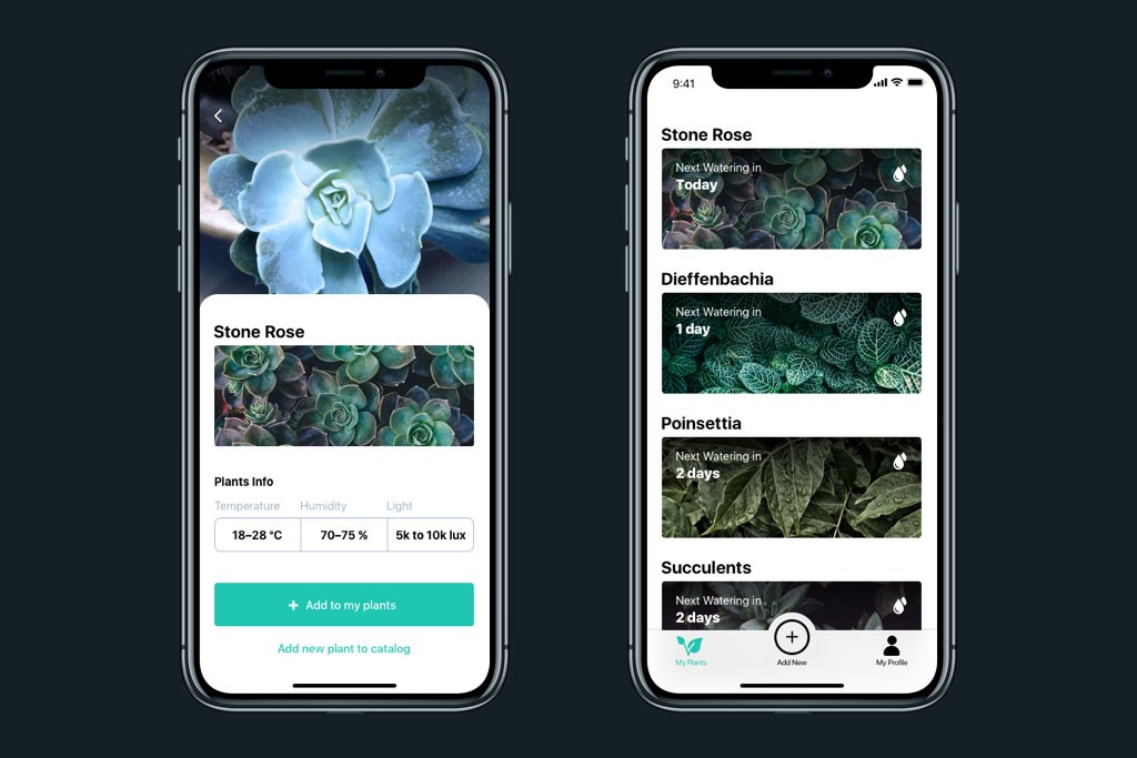 设计实战！这款帮你科学养护绿植的APP是怎样设计出来的
