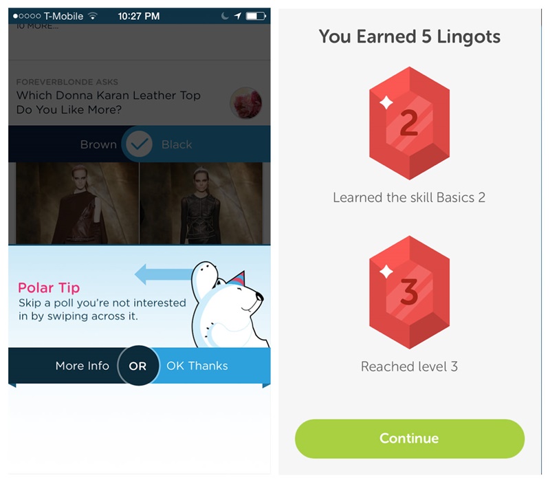 15-Figure-Polar-DuoLingo-large-opt