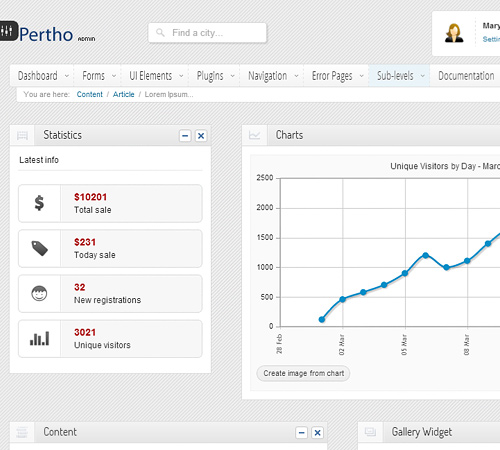 Pertho Admin Premium Template