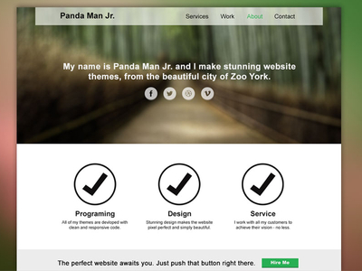 Panda Website Template Freebie [PSD] by Noah Zwillinger in 50 Fresh Freebies From Dribbble