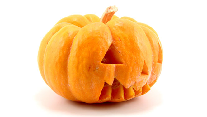 Halloween Pumpkin Free Stock Photo