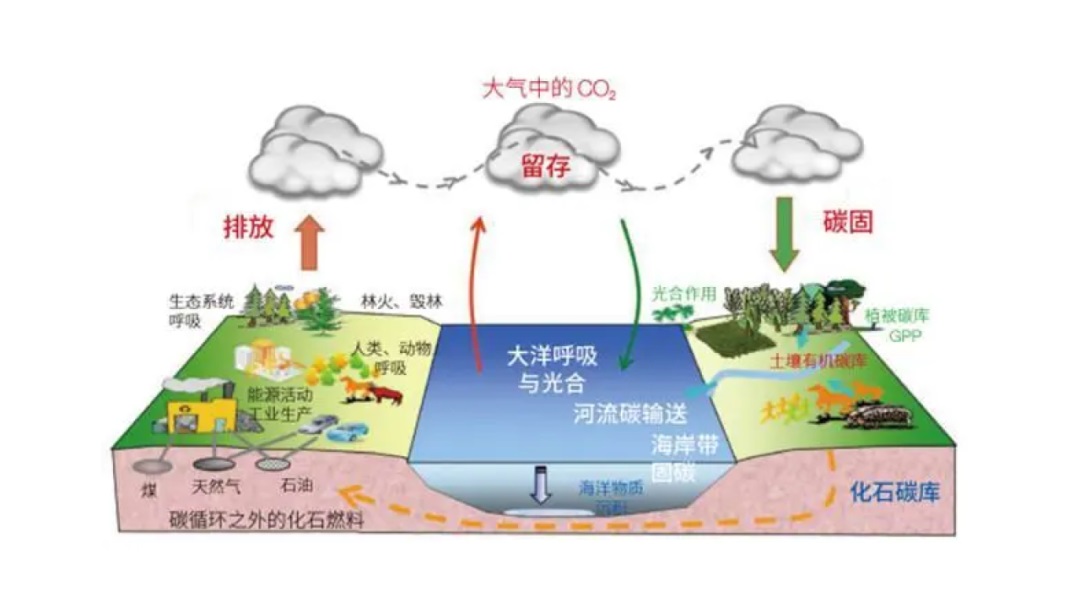 如何设计复杂的电商系统？来看高手的方法！