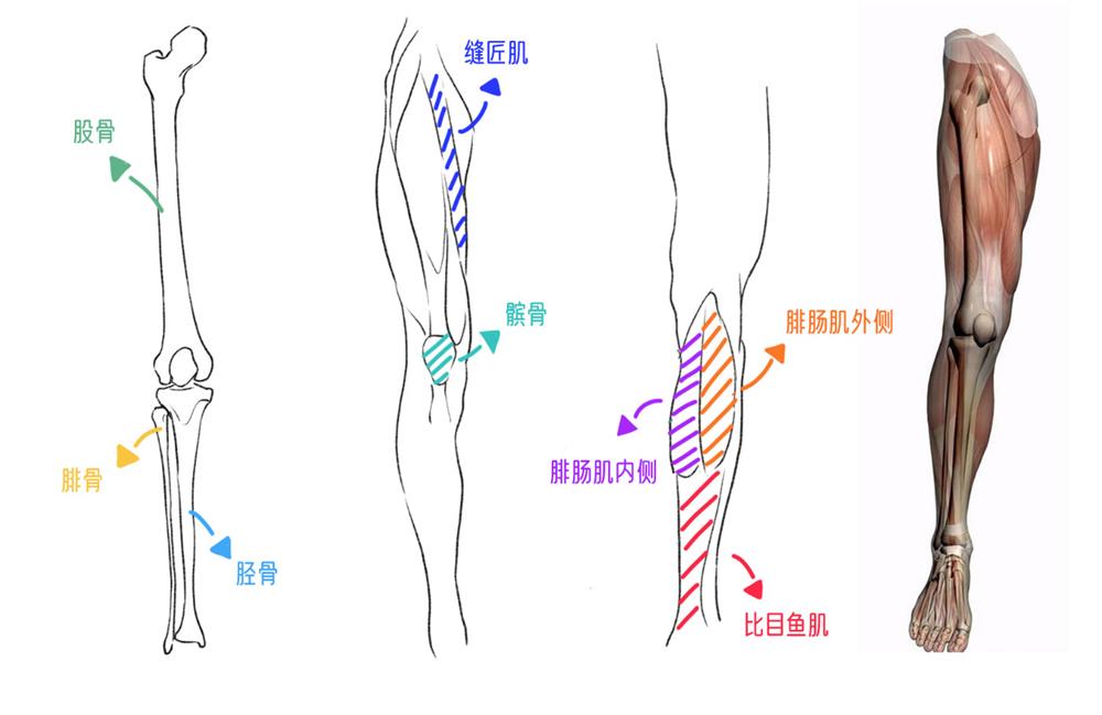 手绘教程！10个人物绘制技巧让你的角色更生动！