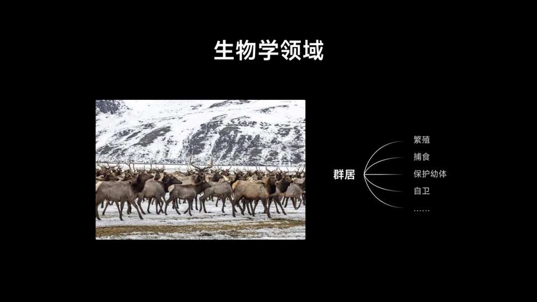 从人类学角度，探索App出海的「本地化」体验设计（中）