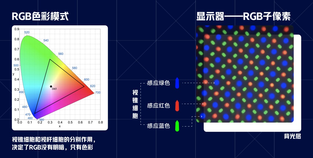 想做好适老化设计，先来了解人眼的光色原理！