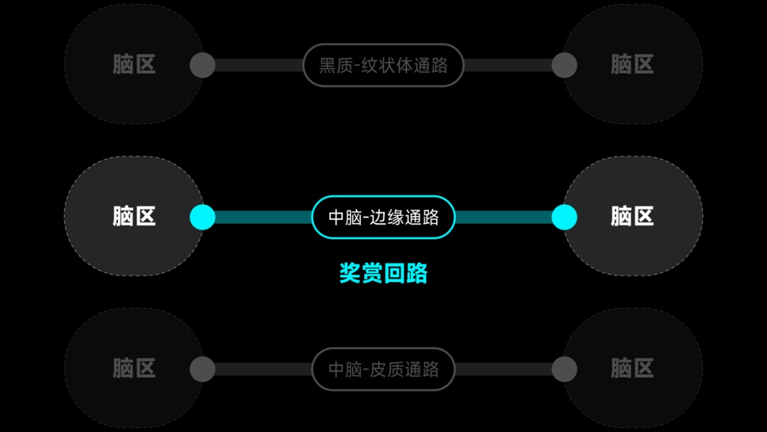 4000字干货！帮你快速了解产品设计中的心智模式