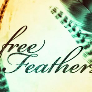 Feathers 10 Brushes