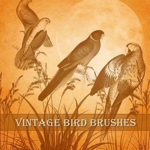 Vintage Birds 9 Brushes