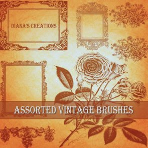 Assorted Vintage Bruses 18 Brushes