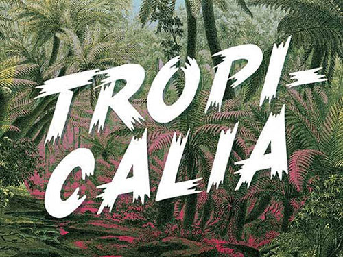 TROPICALIA-Brush-Typeface 字体下载