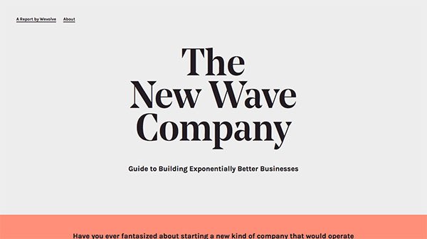 网页设计欣赏：The New Wave Company