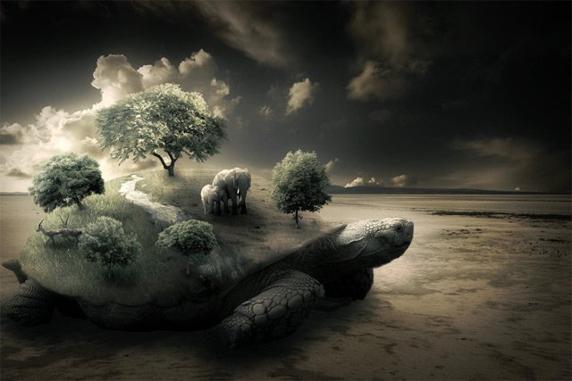 Photoshop Tutorial: Create a Surreal Turtle Image