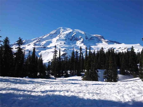 Mt. Rainier