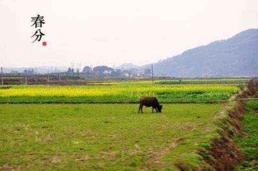 五一劳动节活动口号