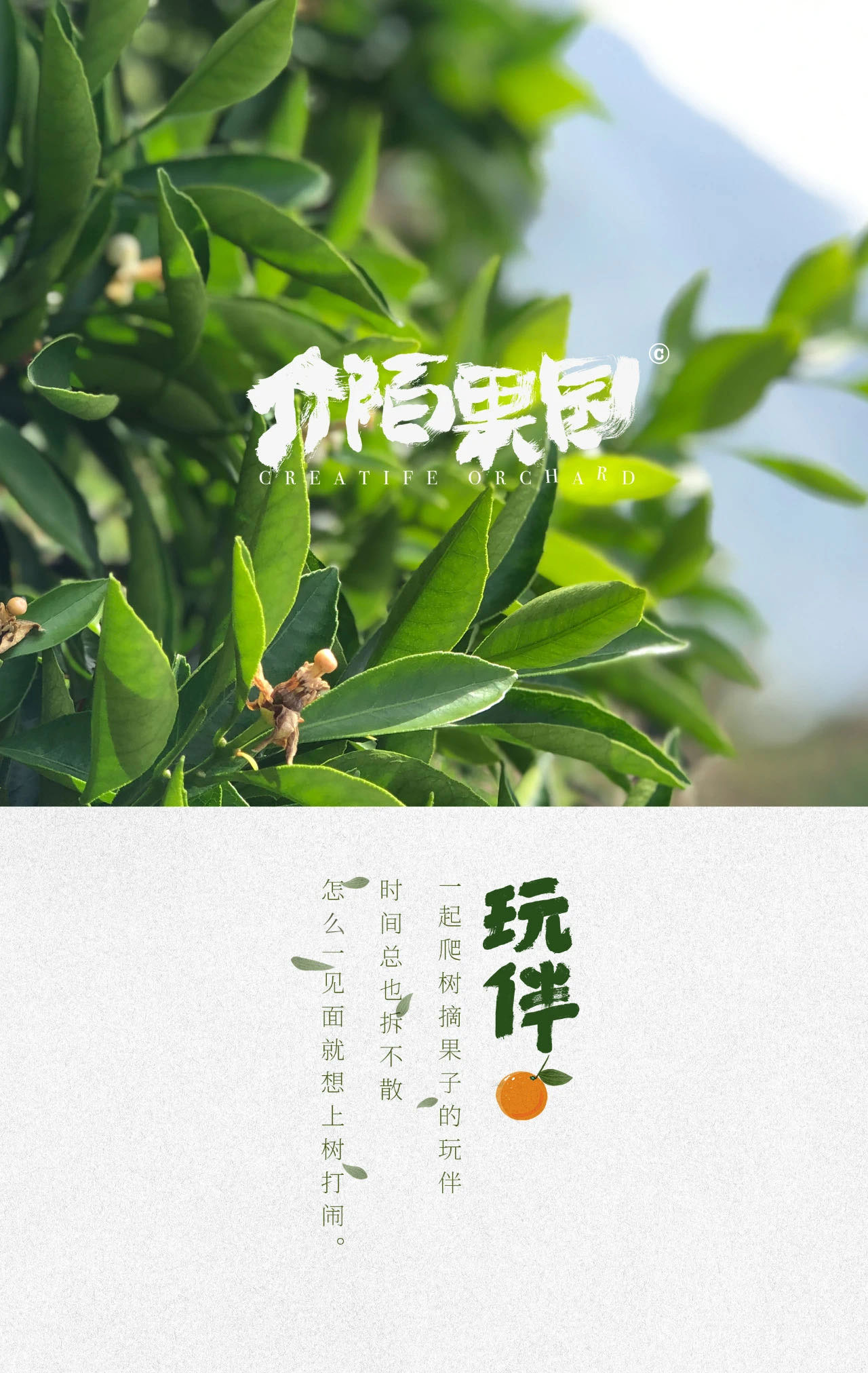 六一儿童节，来介陌果园做个孩子