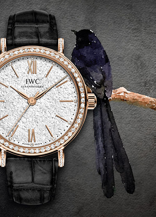 IWC，可能是腕表届最会写文案的品牌，没有之一