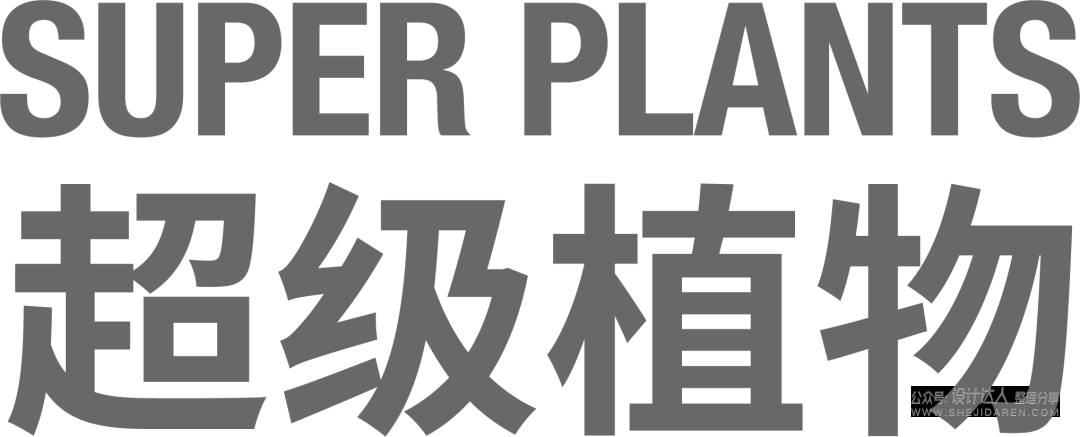 传统的平面设计师受AI影响了吗？看看他们在做什么