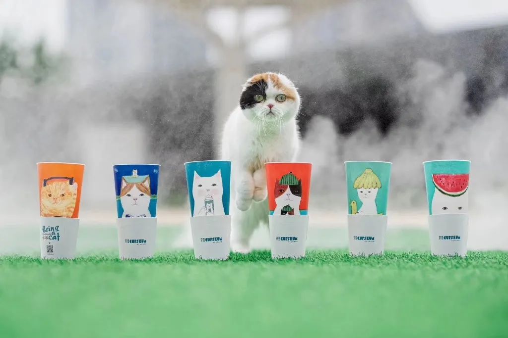 奈雪的茶推出「猫猫爪杯塞」，一“爪”治愈打工人！