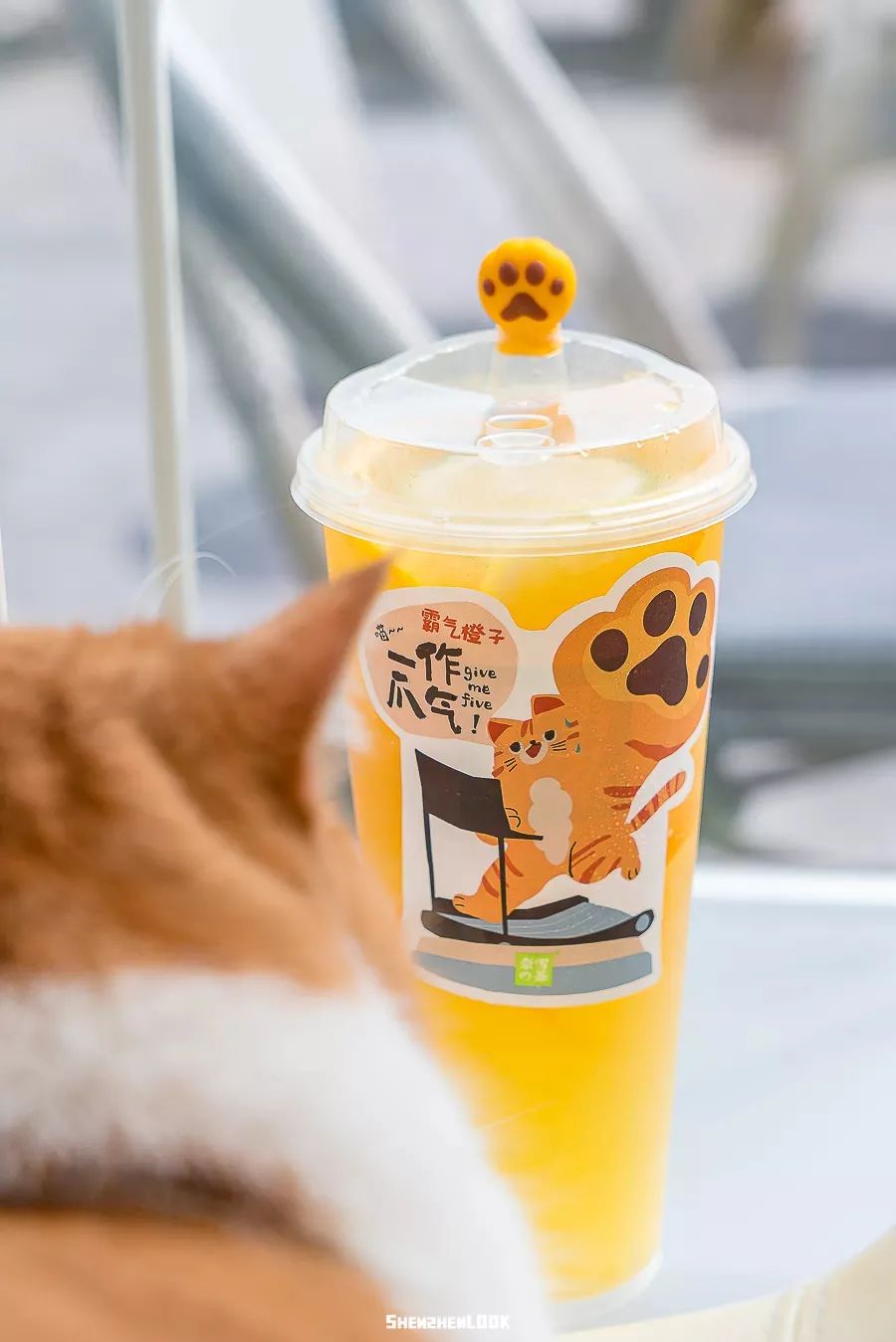 奈雪的茶推出「猫猫爪杯塞」，一“爪”治愈打工人！