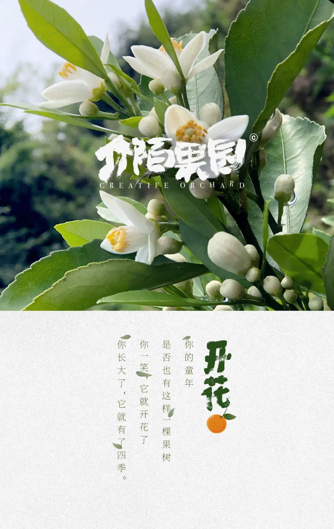 六一儿童节，来介陌果园做个孩子