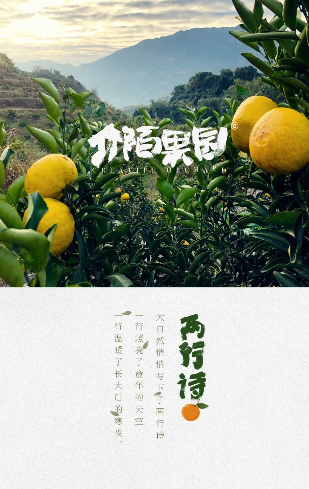 六一儿童节，来介陌果园做个孩子