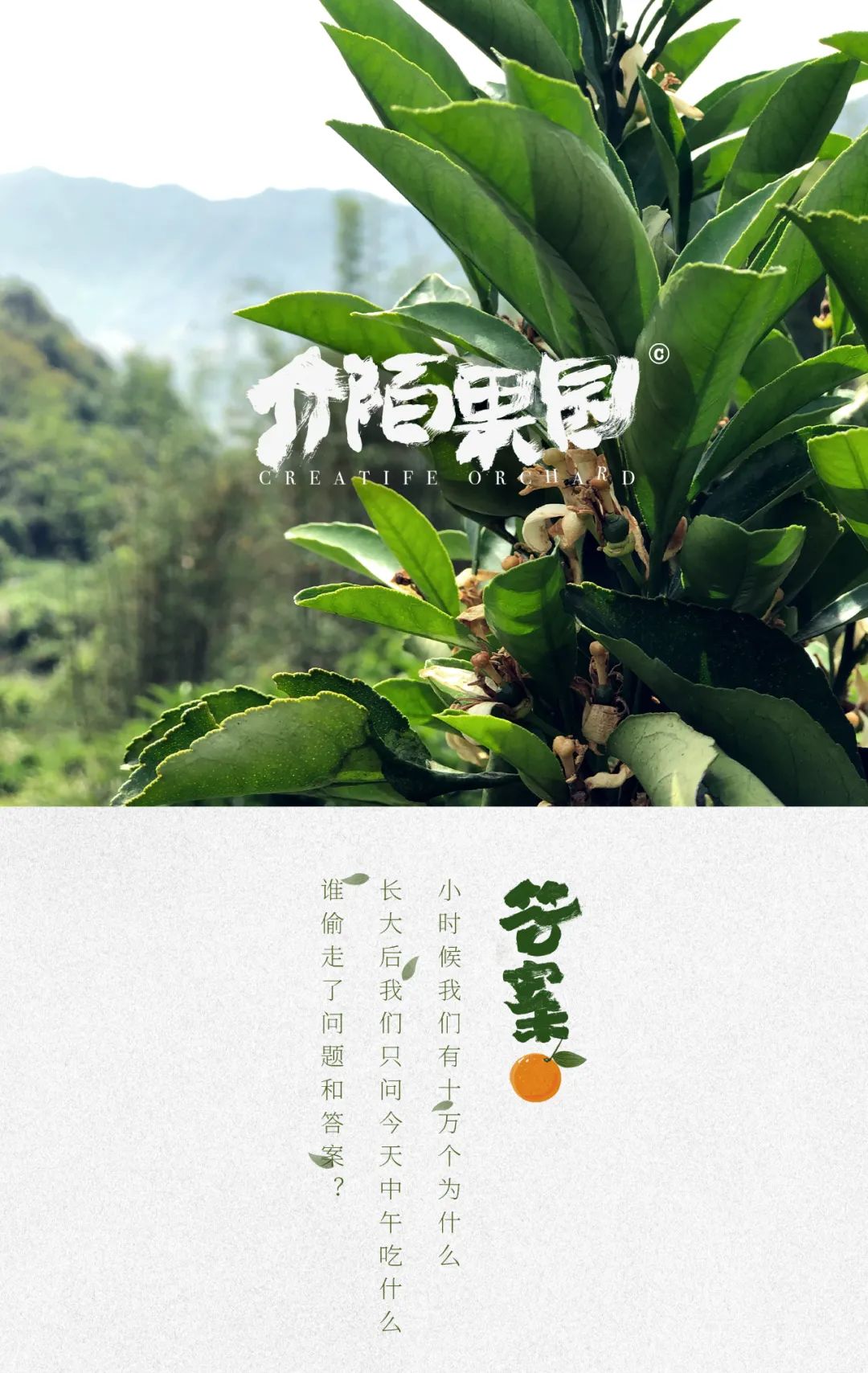 六一儿童节，来介陌果园做个孩子