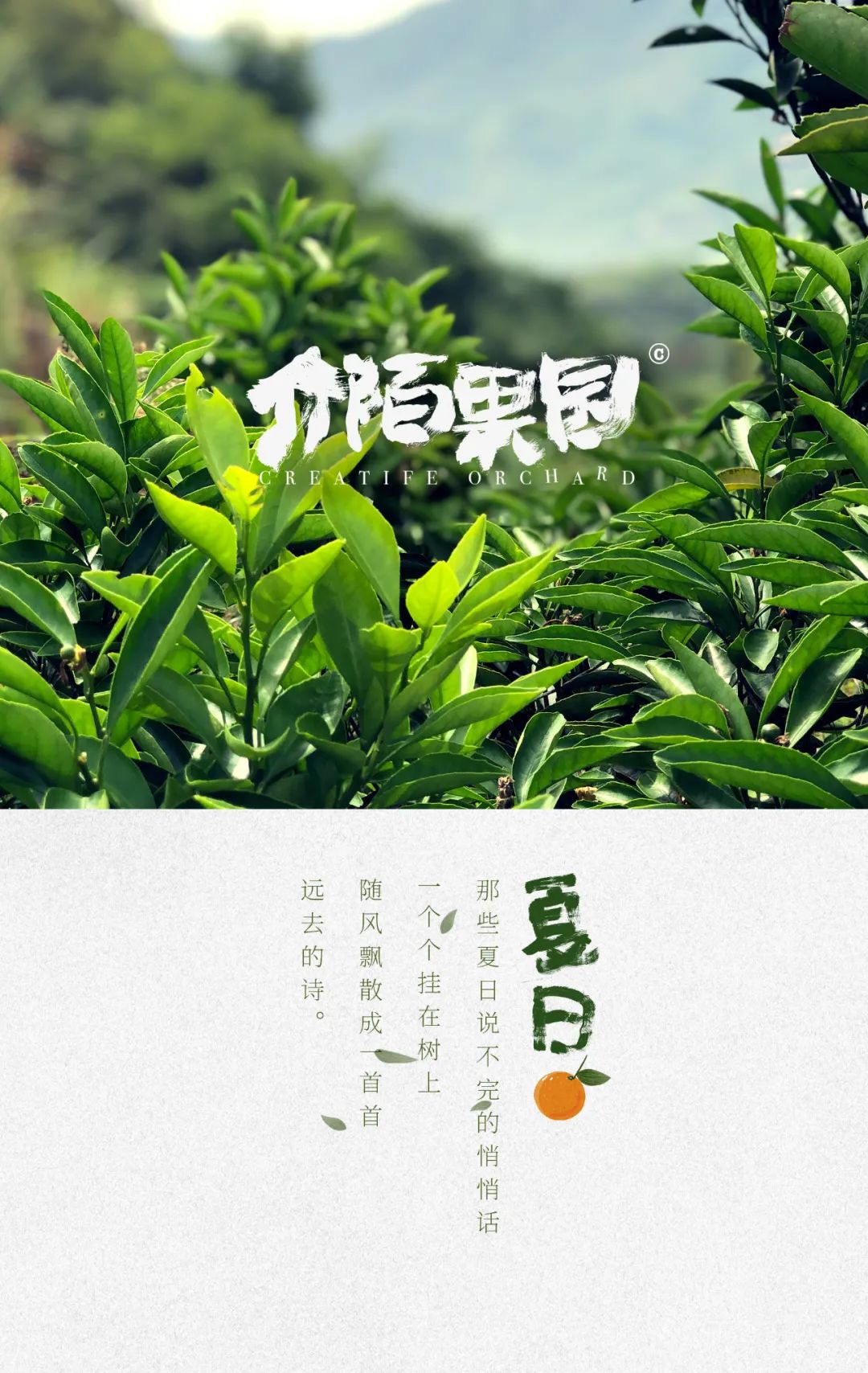 六一儿童节，来介陌果园做个孩子