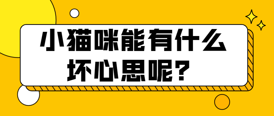 2021年网络热词盘点，拿来吧你