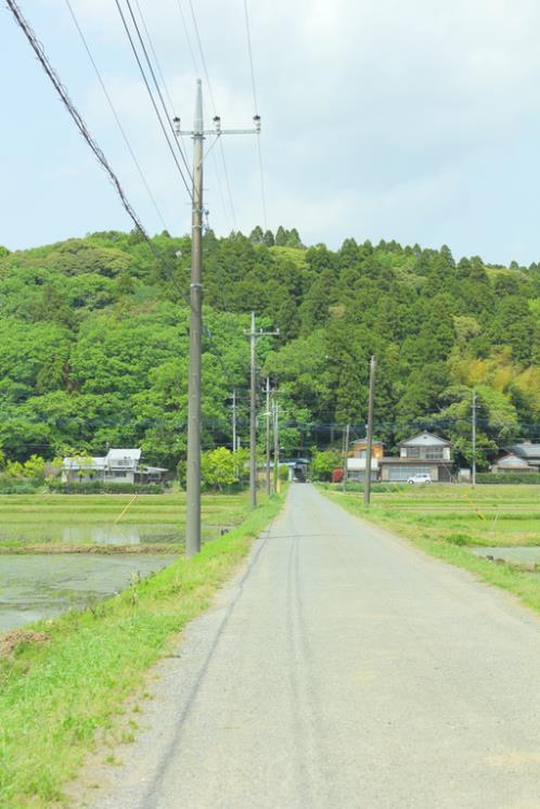 朋友圈感悟人生句子