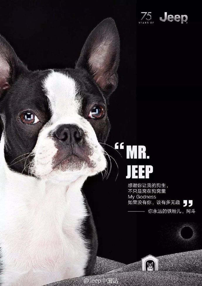 Jeep 75周年生日之际，世界各地的动物们竟然发来了贺电……