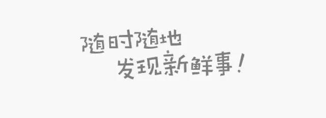 每一句 APP slogan，都是深刻的洞察