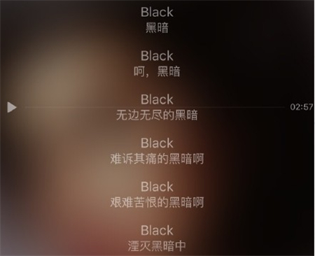 翻译我只服网易云音乐，根本没法好好听歌