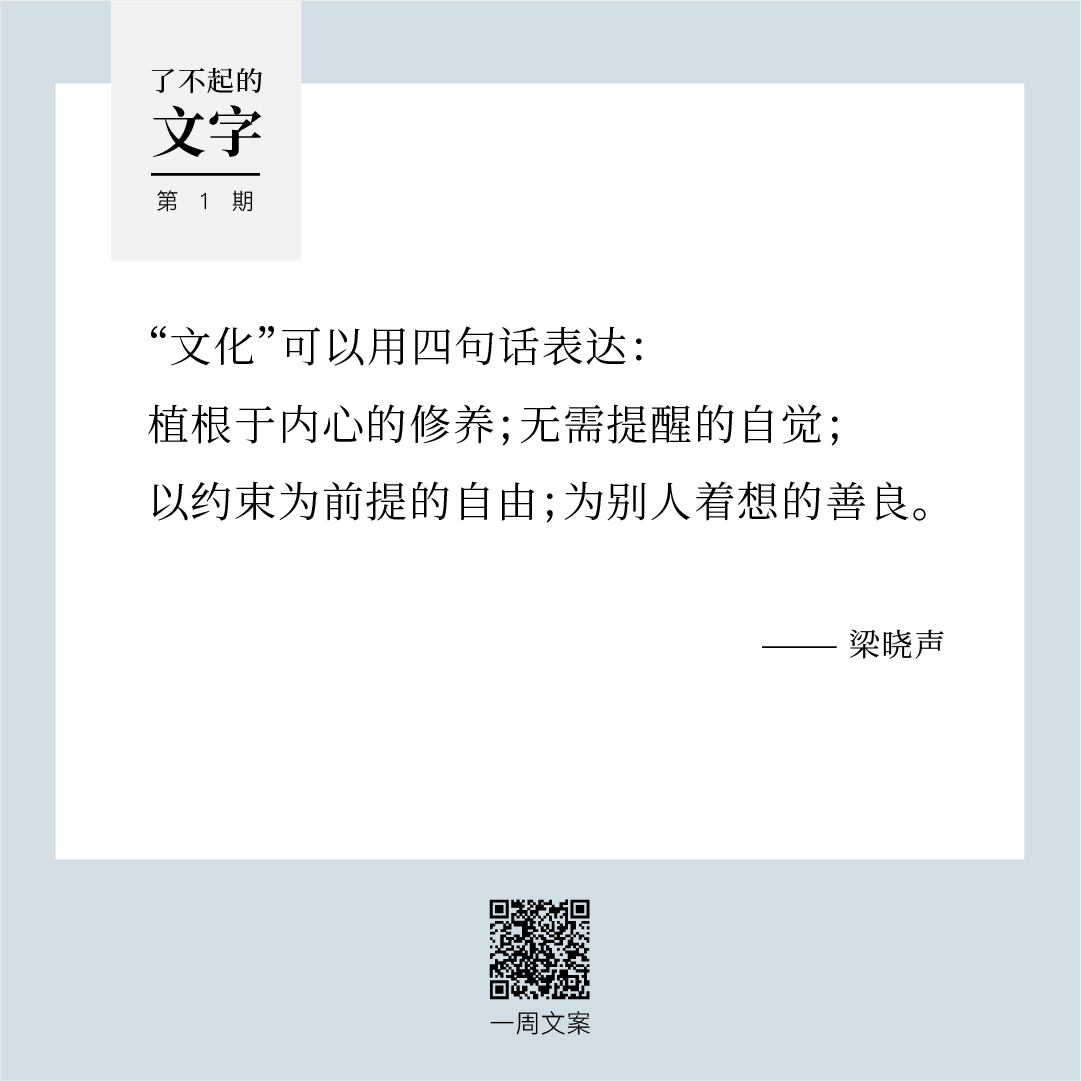 在笼里出生的鸟会以为飞翔是一种病|了不起的文字（1）