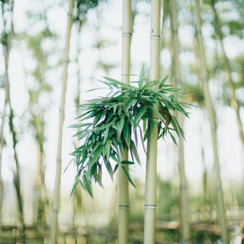 努力奋斗的说说致自己图片