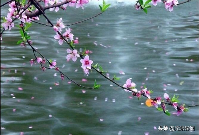 咏春雨的诗句（分享10首关于春雨的古诗词）