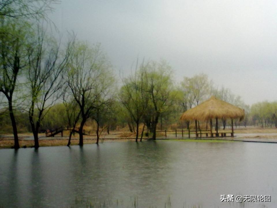 咏春雨的诗句（分享10首关于春雨的古诗词）