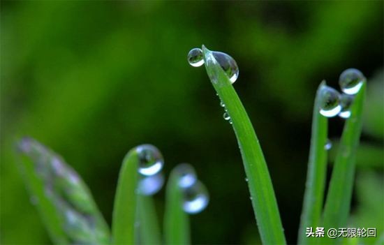 咏春雨的诗句（分享10首关于春雨的古诗词）