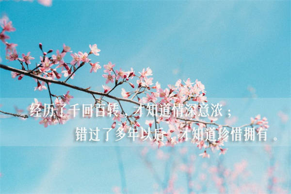 教师节感谢老师的语句